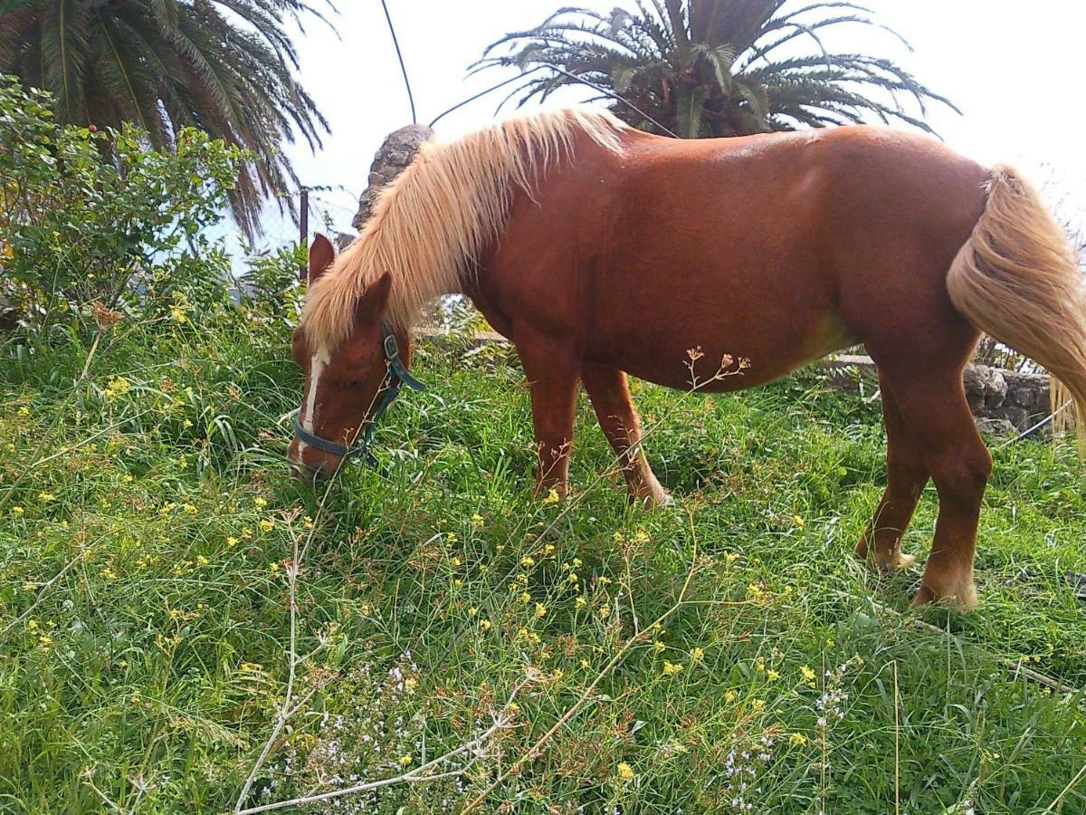 Azienda Agrituristica Le Terre Di San Leonardo Cetraro Εξωτερικό φωτογραφία